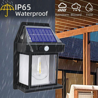 Waterproof Solar Motion Lamp for Home & Garden